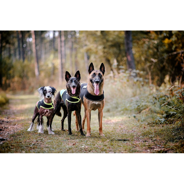 Julius-K9 IDC неопреновий одяг для собак, розмір L, чорний/аквамарин