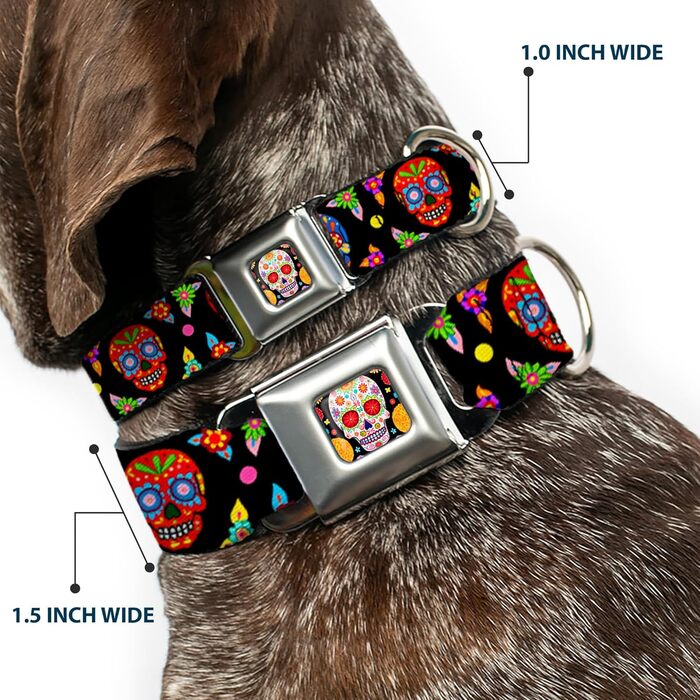 Нашийник для собак Buckle Down Colorful Calaveras, 22,9–38,1 см, чорний з різнокольоровими черепами