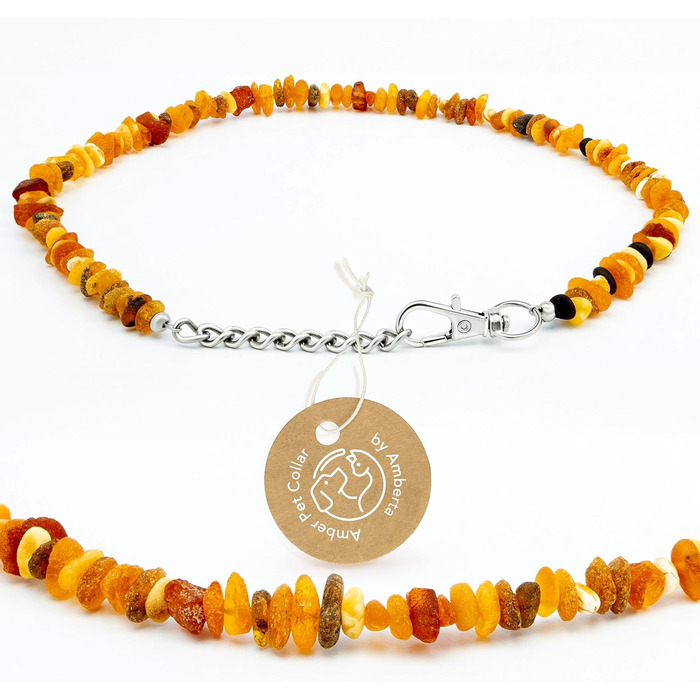 Нашийник для собак та котів Amberta Bernstein: бурштинова прикраса, 40-45 см