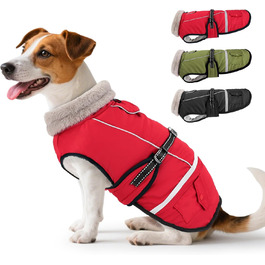 колір: гниль