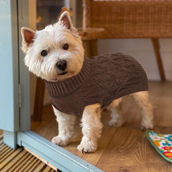 Теплий пуловер для собак Kuoser, пуловер для маленьких, середніх та великих собак, флісовий пуловер для собак, XL (Обхват грудей: 62 см), XS (Обхват грудей: 30 см), Колір: Коричневий
