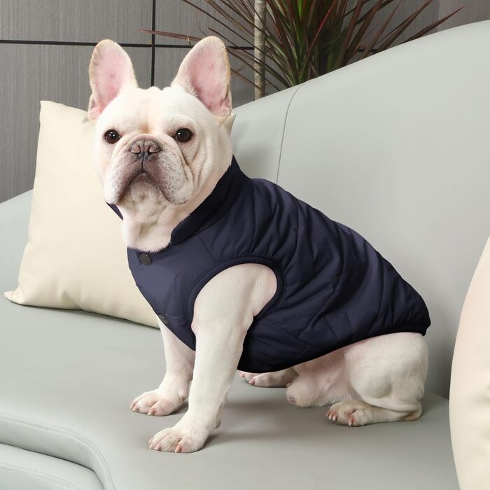 Тепла куртка для собак JoyDaog з флісовою підкладкою, 2 шари, для зими та холодної погоди, м'яка, вітронепроникна, розмір S, блакитна