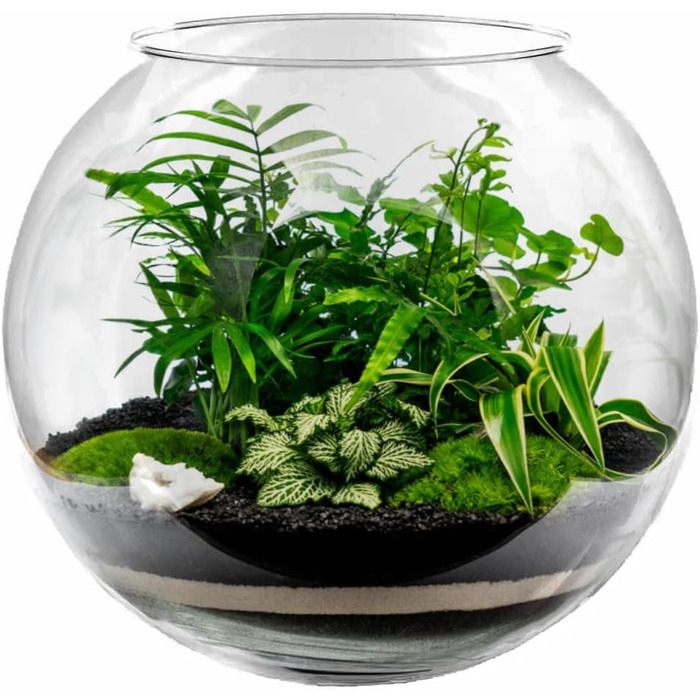 Скляна ваза-куля Ø 30 см, 12 л: ваза для квітів, акваріум, тераріум, гідропоніка