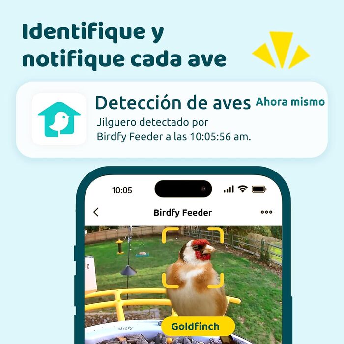 Розумна годівниця для птахів NETVUE Birdfy з камерою для спостереження, сонячною панеллю, кольровим нічним баченням та автоматичним записом відео, синя