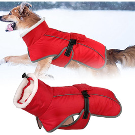 Теплий зимовий одяг для собак: утеплений, для малих та середніх порід, універсальний розмір F