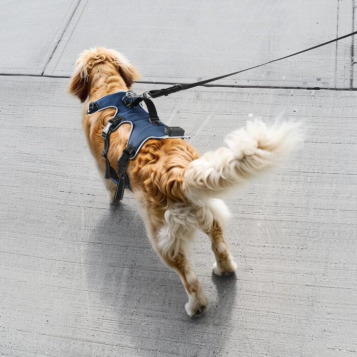 Світловідбиваючий нашийник для собак з LED підсвічуванням, перезаряджуваний, з м'якою ручкою, 3 регульовані розміри, водонепроникний, для середніх та великих собак, зелений (блакитний, XL)