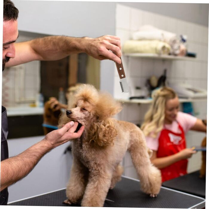 Набір для догляду за шерстю котів: щітка-вичесальник та щітка для вичісування. Ергономічна ручка з дерева для ефективного видалення шерсті та догляду за довгошерстими котами