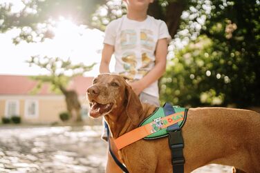 Шлейка для собак Julius K-9 Paw Patrol, розмір XL/2, Rocky