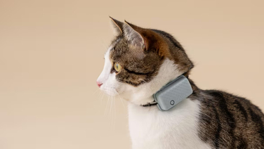 GPS-локатор для котів Tractive CAT Mini — світло-зелений