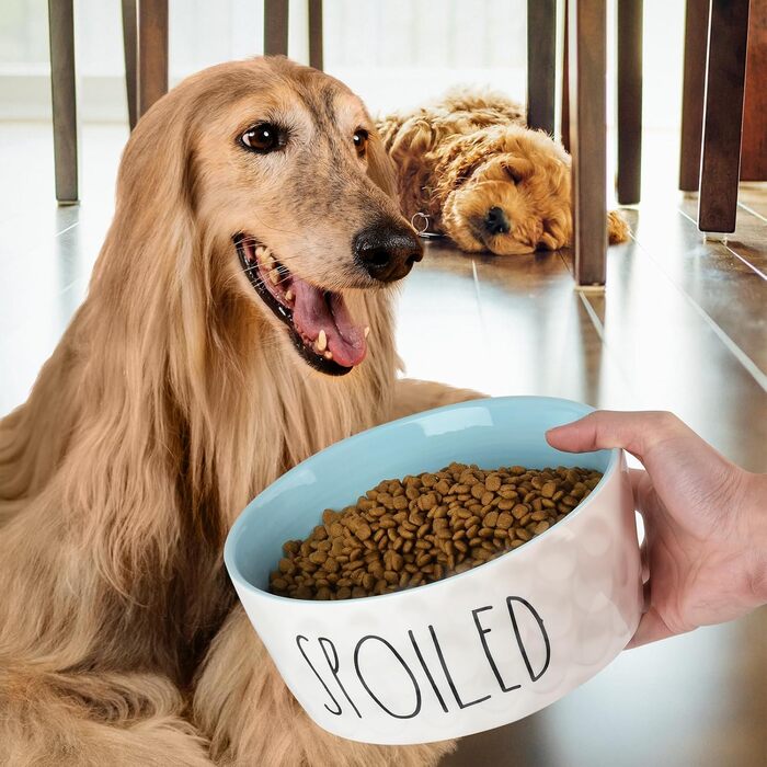 Керамічна миска для собак WoofinPets 250 мл, 25,4 см, велика, нековзка, для води та корму, для середніх і великих порід, міцна, підходить для мікрохвильовки та посудомийки, синя