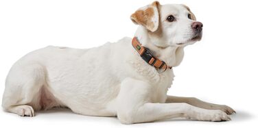 Нашийник для собак HUNTER Neopren Vario Plus, нейлон, неопрен, регульований, з поглинанням ривка, комфортний, розмір L/2,5, колір: мідний/сірий