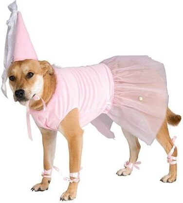 Костюм принцеси Rubies для домашніх тварин, багатобарвний (Small)