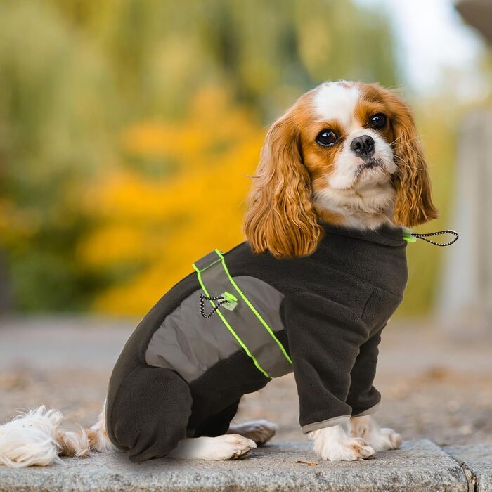 Флісова куртка для собак, зимова куртка, тепла флісова піджак для собак з отвором для повідка, для середніх собак, віндджайк, чорний (XS-XXL)