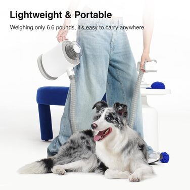 Набір для догляду за тваринами Neakasa P0 Pro: пилосос, щітка для котів, машинка для стрижки собак, 5 насадок, видалення ворсу