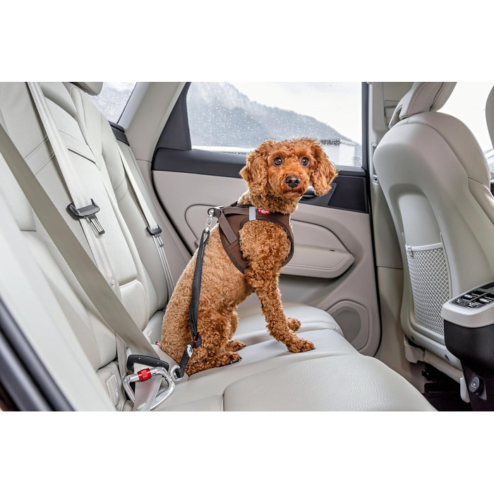 Ремінь безпеки для автомобіля V2 L Large