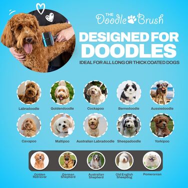 Щітка для собак Doodle Brush для Голдендудлів і Лабрадудлів, двоголова пуходерка для довгошерстих собак і пуделів, розплутуюча щітка для шерсті, професійна собача щітка для вичісування ковтунів