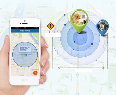 GPS-нашийник локатор TK909 для собак та котів, SOS, керування через додаток, без абонплати