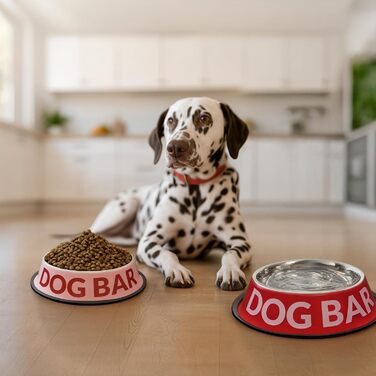 Подвійний набір мисок для собак Fisura Dog Bar з нержавіючої сталі, 500 мл + 1000 мл, рожевий та червоний, антиковзні