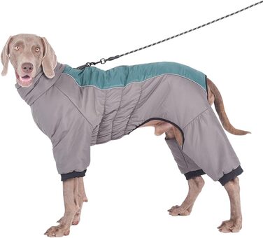 Зимовий теплий одяг для собак з отвором для повідка, водонепроникна куртка для собак, зимовий одяг для маленьких, середніх та великих собак (5XL, зелений)