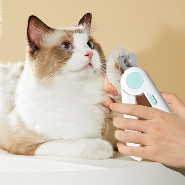 Ножиці для собак | Ножиці для стрижки кігтів, догляд за лапами, інструмент для шліфування дрібних тварин, птахів, кошенят, стрижка кігтів для догляду за домашніми тваринами (блакитні)