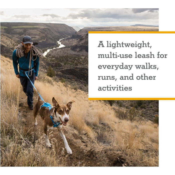 Повідок для собак Ruffwear Flagline 2-в-1, легкий і міцний, для бігу, на руку чи талію, із сумкою для зберігання та Crux-Clip, зелений, універсальний розмір