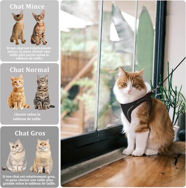 Нашийник для котів Qianruida з повідком, регульований, зручний, дихаючий, світловідбиваючий (Чорний XS)