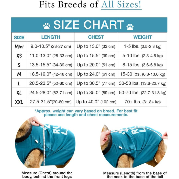 Захисний боді для собак після операції (кастрація/стерилізація), альтернатива комірцю, блакитний, 2XL