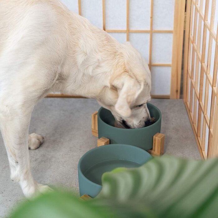 Набір мисок для котів та собак Navaris 2 шт. з підставкою - годівниця для тварин, керамічні миски, зелений колір
