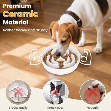 PETTOM Миска для собак протиковтання, кераміка, Ø 21 см, для великих та малих собак, Slow Feeder, білий