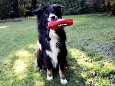 Набір з 3 мішечків для корму NATIV для собак, тренувальний апортний думмі, мішечок для ласощів