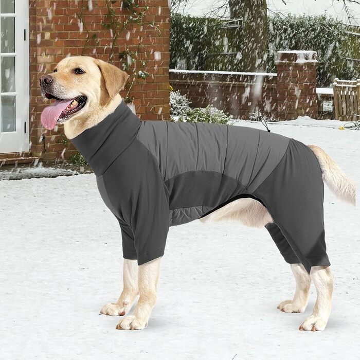 Водонепроникний зимовий теплий одяг для собак, теплий комір, для прогулянок, хандерінгу та кемпінгу, розмір M (Сірий, розмір XL)