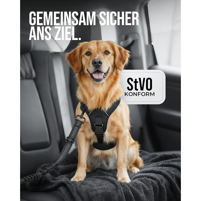 Автомобільний повідок для собак 'Argo' – регульований безпечний повідок з амортизацією та ISOFIX – для всіх порід собак (Розмір S) (Чорний, L (63-87 см))