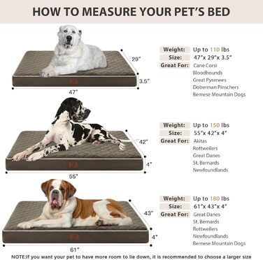 Ортопедичне ліжко для собак великих порід WNPETHOME, велике водонепроникне ліжко з знімним, пральним чохлом та неслизьким дном, м'яка підстилка з піни, темно-зелене, 61.0' x 43.0' x 4.0'