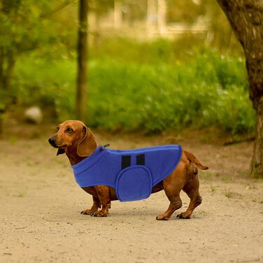 Теплий зимовий пуловер для собак Queenmore: флісова куртка, жилетка для дрібних порід (такса, чихуахуа, бульдог), блакитний, XS