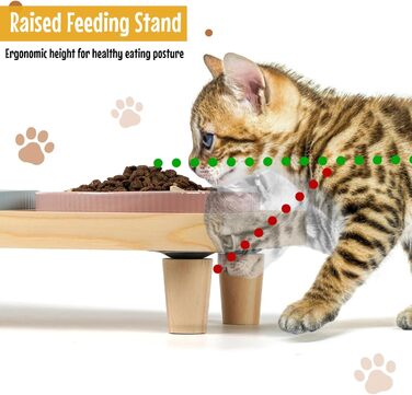Миска для котів плоска керамічна з дерев'яною підставкою, піднята станція для годування з 2 керамічними мисками, миска для котів, діаметр миски 16 см для їжі та води, рожева & блакитна, блакитно-рожева