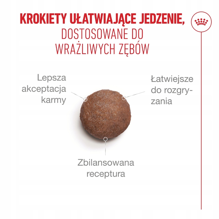 Сухий корм для літніх котів ROYAL CANIN Ageing 15+, 4 кг