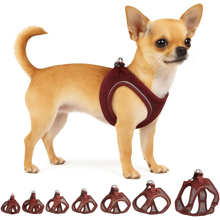 Шлейка для собак середнього розміру Flamingo Step&Go Bento (фіолетовий, XXS)