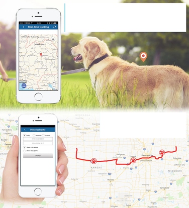 GPS-нашийник локатор TK911 для собак та котів з підтримкою SOS та мобільного додатка