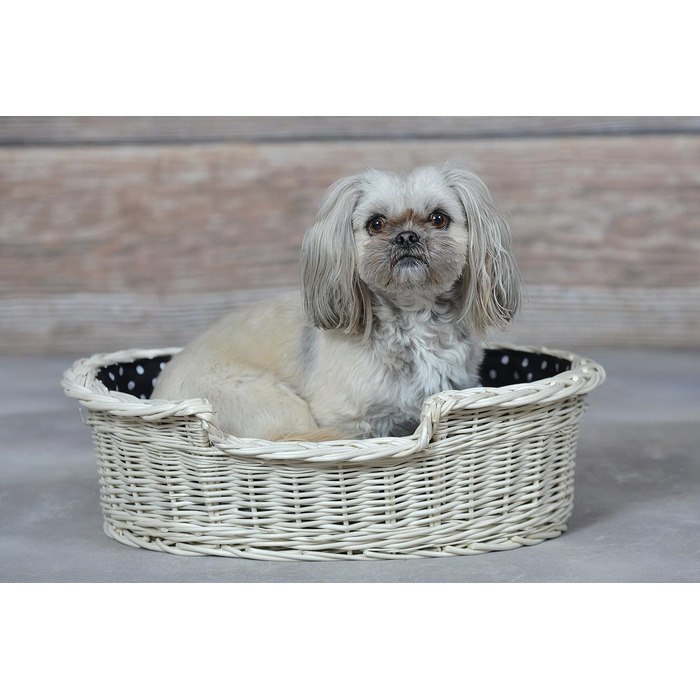 Плетений корзинка-ліжко для собак та котів з подушкою, 60 x 43 x 19 см, бежевий