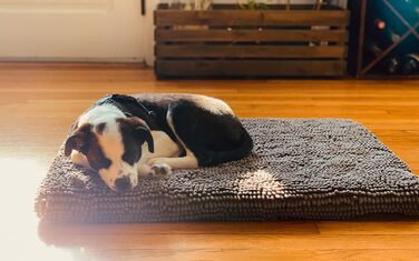 Подушка для собак Dirty Dog Cushion L, розмір 78x55 см (чорний, 109x69 см)