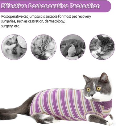 Одяг для котів після операції Citétoile: комбінезон для захисту животика, альтернатива E-обротню, розмір L, фіолетовий