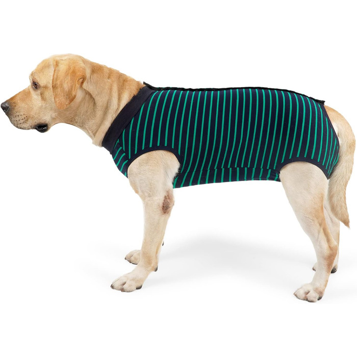 Комбінезон для собак, дихаючий, для захисту післяопераційних ран, альтернатива конусу, без шнура, післяопераційний (XXL, 1 шт., зелений)