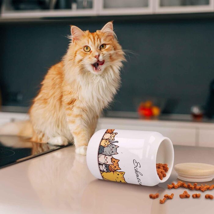 Банка для ласощів з гравіюванням з іменем для котів та собак - персоналізований подарунок для власників тварин