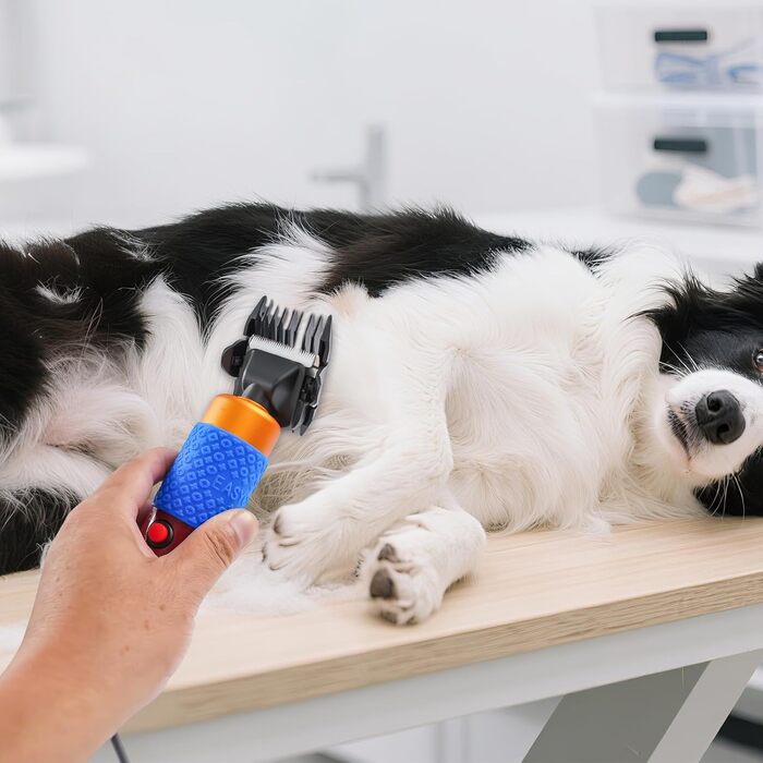 Професійна машинка для стрижки собак і котів, тиха, з 4 насадками та кабелем 3м, 6600 RPM, керамічні леза