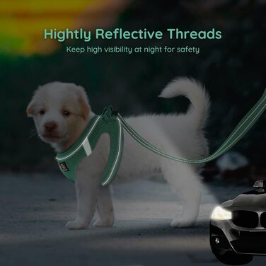 Шлейка для собак BELLA & PAL для маленьких собак з повідком, Step-in шлейка з Air Mesh, анти-тяга, світловідбиваюча, дихаюча, для цуценят, котяча шлейка, XS (30-35 см обхват грудей), Emerald