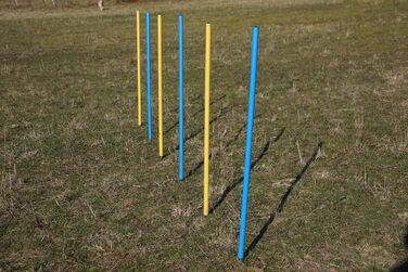 Набір для тренувань Wuzzmann Agility: Slalom з гнучких стійок (синьо-жовтий)