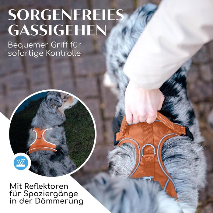 Шлейка для собак FREUDENTIER з сітчастою підкладкою - максимальний комфорт, надійна фіксація та безпека - антиривок кільце на грудях - для великих, середніх та маленьких собак (XS, Помаранчевий)