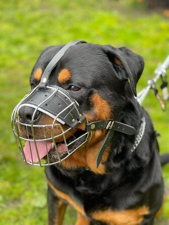 Міцний нашийник-маска для собак з металевої сітки, Rottweiler, Mastiff, Golden Retriever (R2, сріблястий/чорна шкіра)