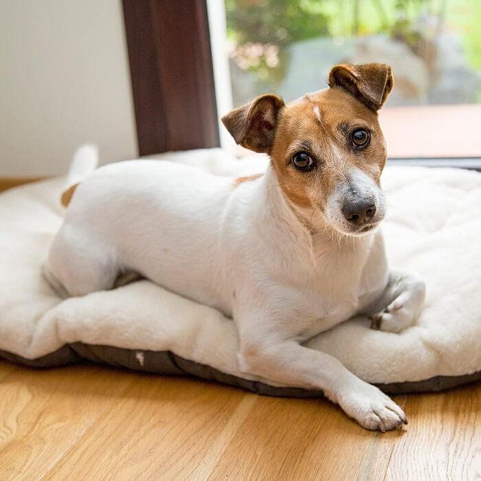 Лежанка для собак та котів FERPLAST - м'яка, миюча, 65x42 см, M, бежева, плюш та бавовна