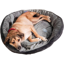 колір: сірий